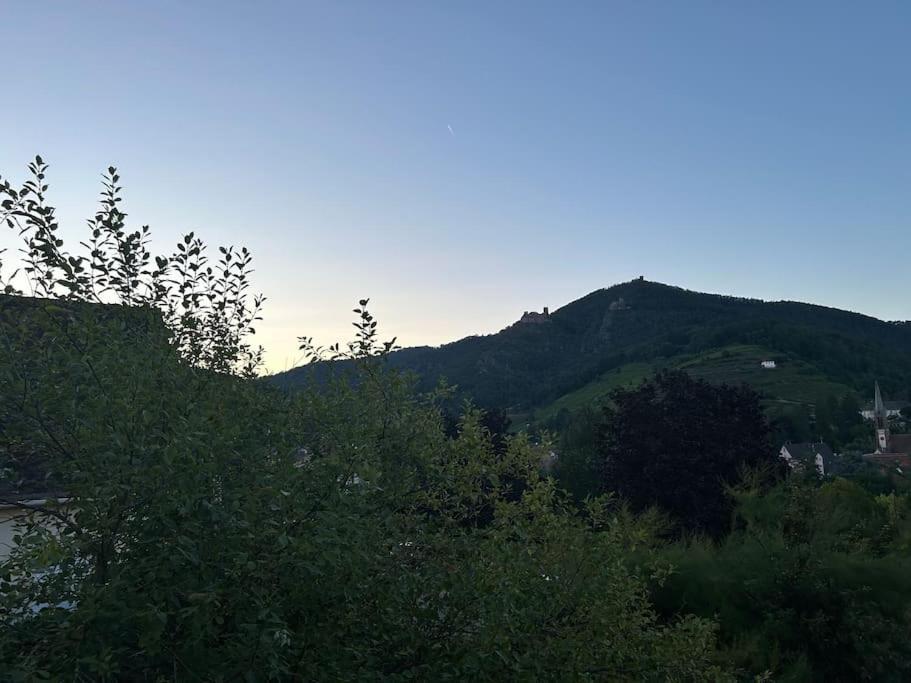 Vue Magnifique Sur Les Chateaux ريبوفيل المظهر الخارجي الصورة
