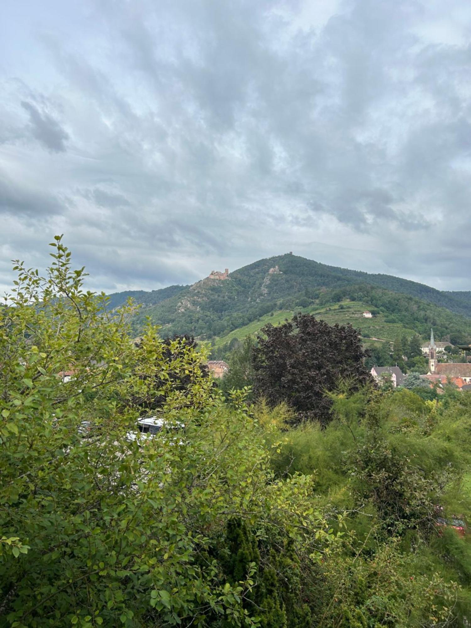 Vue Magnifique Sur Les Chateaux ريبوفيل المظهر الخارجي الصورة